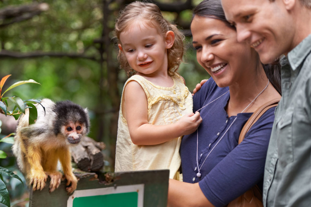 Reach families with young kids at zoos