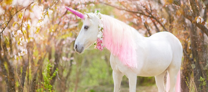Marketing Unicorns - unexpected ways for marketing to parents and kids