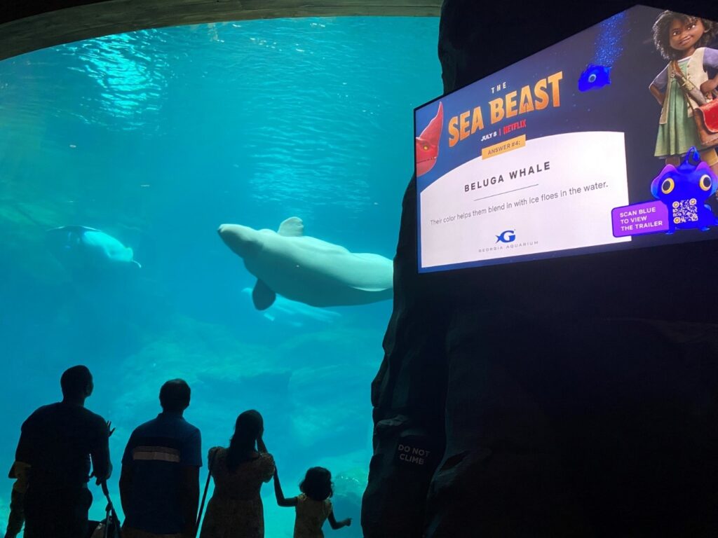 Netflix Aquarium Sponsorship